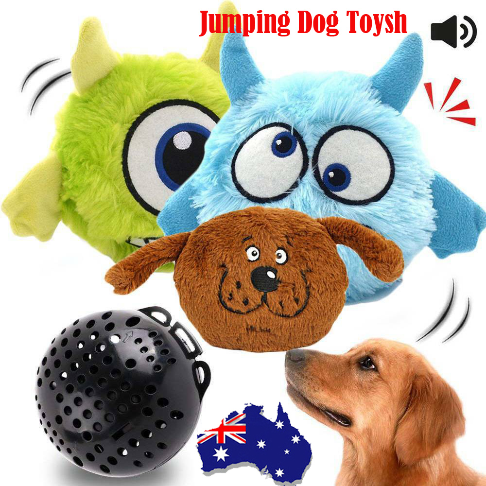 dog jumping toy