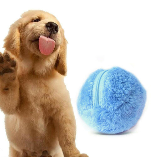 magic ball for dogs