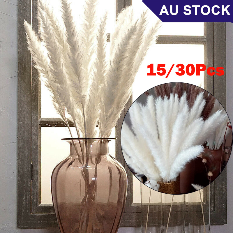 15pc Bunch Bunny Tails Lagurus Pampas Grass Dried Flower Christmas