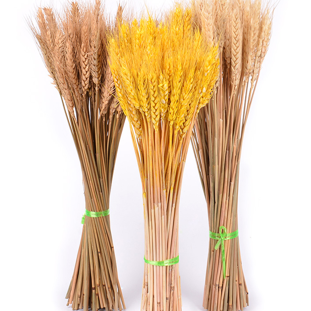 50pcs Natural Dried Flower Wheat Bouquet For Diy Wedding Home