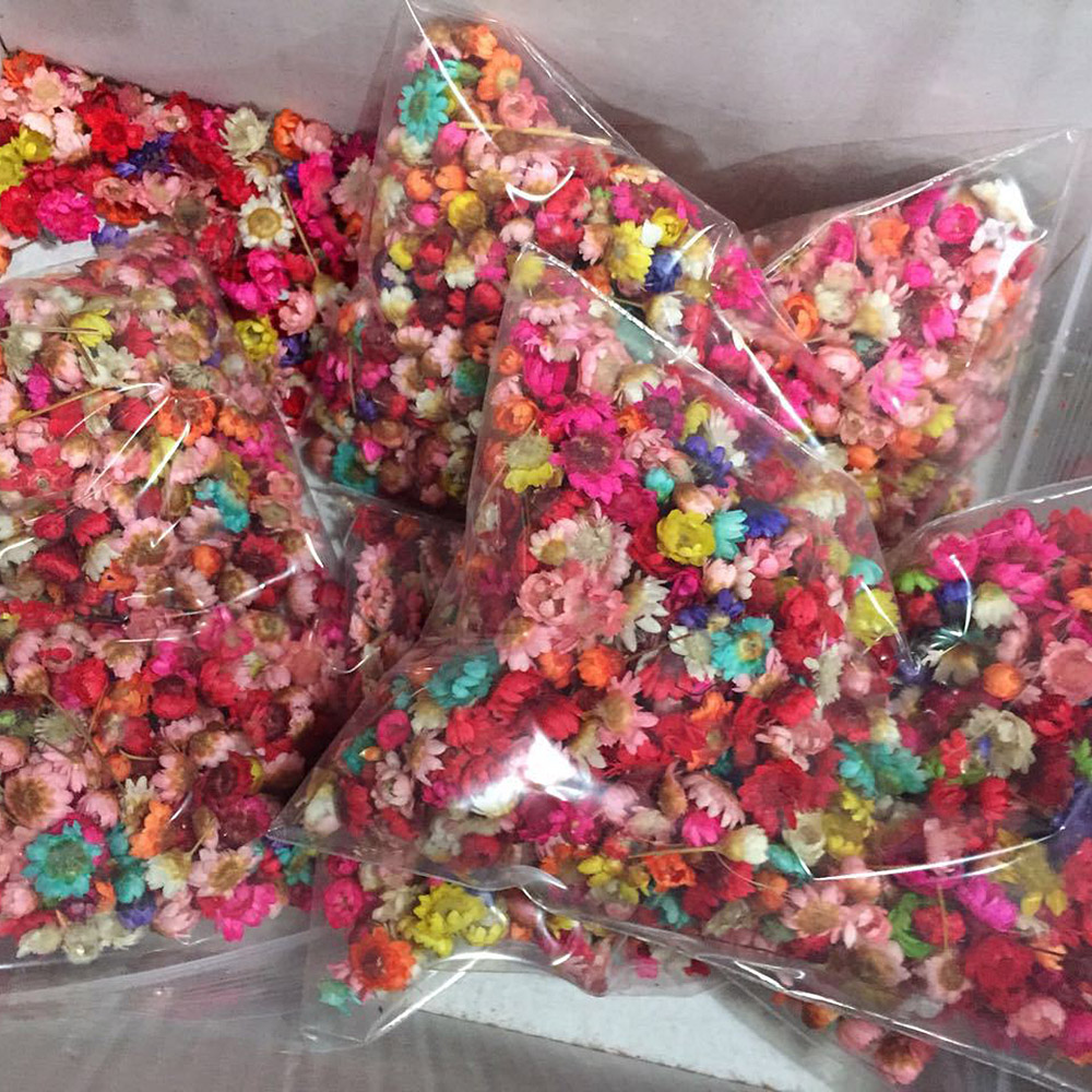 Small Dried Flowers For Resin Floral Decorative Bowl Dried Flowers